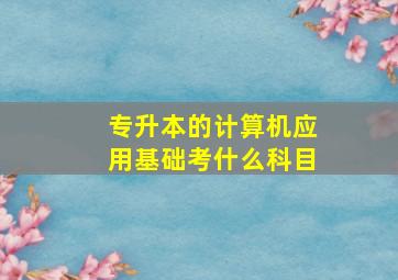 专升本的计算机应用基础考什么科目