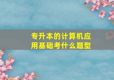 专升本的计算机应用基础考什么题型