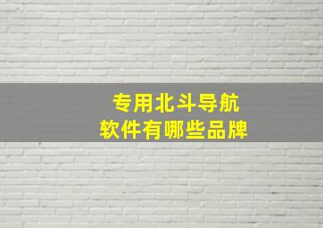 专用北斗导航软件有哪些品牌