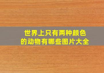 世界上只有两种颜色的动物有哪些图片大全