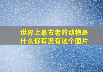 世界上最古老的动物是什么你有没有这个图片