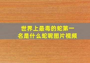 世界上最毒的蛇第一名是什么蛇呢图片视频