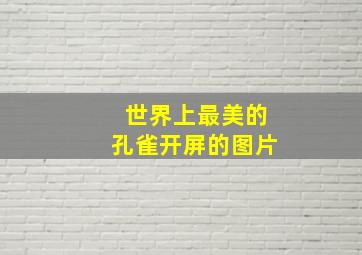 世界上最美的孔雀开屏的图片