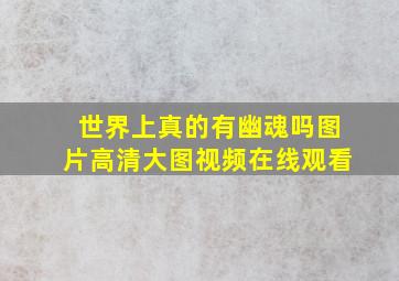 世界上真的有幽魂吗图片高清大图视频在线观看