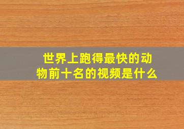 世界上跑得最快的动物前十名的视频是什么