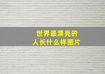 世界最漂亮的人长什么样图片