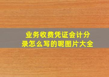 业务收费凭证会计分录怎么写的呢图片大全