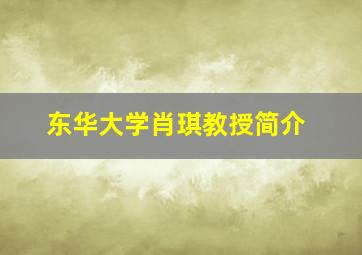 东华大学肖琪教授简介