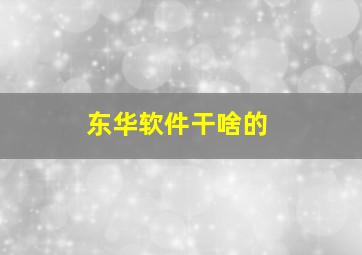 东华软件干啥的