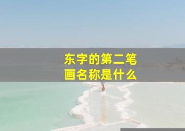 东字的第二笔画名称是什么