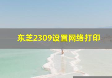 东芝2309设置网络打印