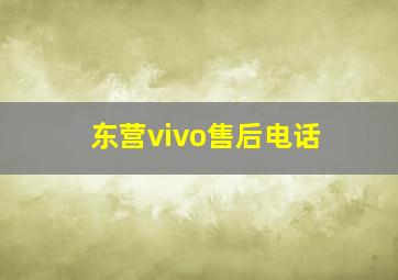 东营vivo售后电话