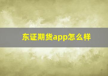 东证期货app怎么样