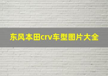 东风本田crv车型图片大全