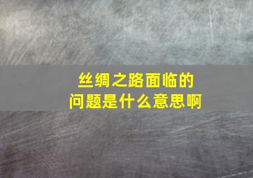 丝绸之路面临的问题是什么意思啊