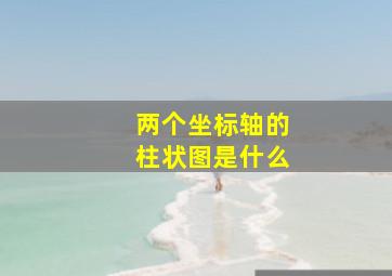 两个坐标轴的柱状图是什么