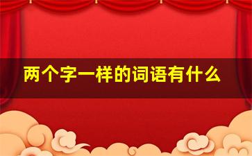 两个字一样的词语有什么