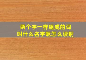 两个字一样组成的词叫什么名字呢怎么读啊