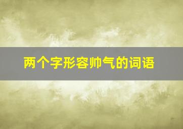 两个字形容帅气的词语