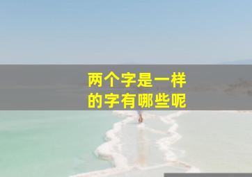 两个字是一样的字有哪些呢