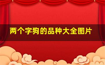 两个字狗的品种大全图片