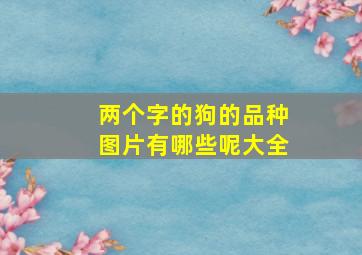 两个字的狗的品种图片有哪些呢大全