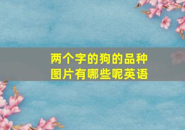 两个字的狗的品种图片有哪些呢英语