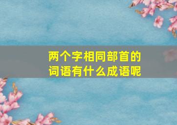 两个字相同部首的词语有什么成语呢