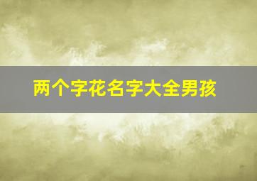 两个字花名字大全男孩