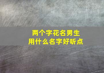 两个字花名男生用什么名字好听点