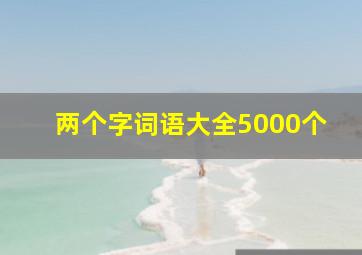 两个字词语大全5000个