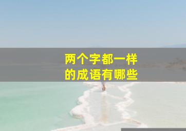 两个字都一样的成语有哪些