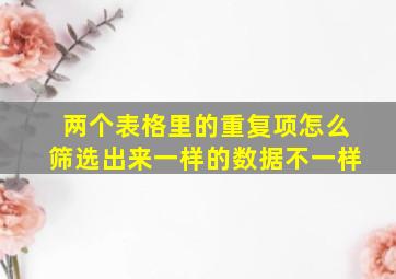 两个表格里的重复项怎么筛选出来一样的数据不一样