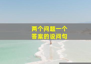 两个问题一个答案的设问句