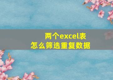 两个excel表怎么筛选重复数据