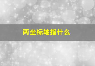 两坐标轴指什么