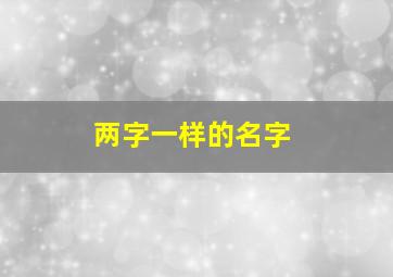 两字一样的名字