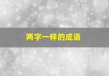 两字一样的成语