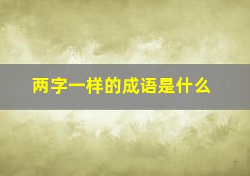 两字一样的成语是什么