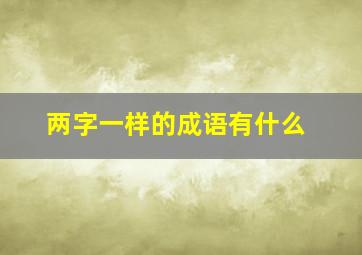 两字一样的成语有什么