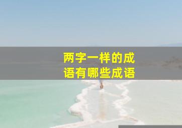 两字一样的成语有哪些成语