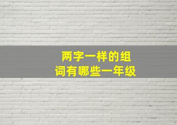 两字一样的组词有哪些一年级