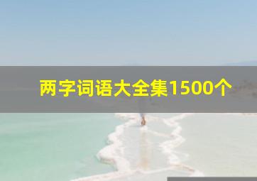 两字词语大全集1500个