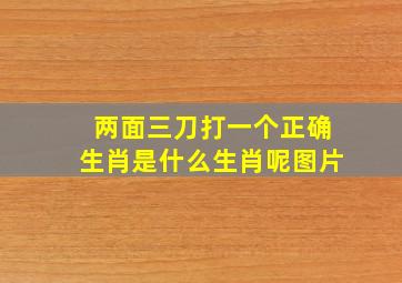 两面三刀打一个正确生肖是什么生肖呢图片