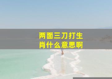 两面三刀打生肖什么意思啊