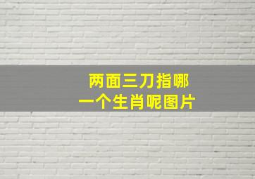 两面三刀指哪一个生肖呢图片