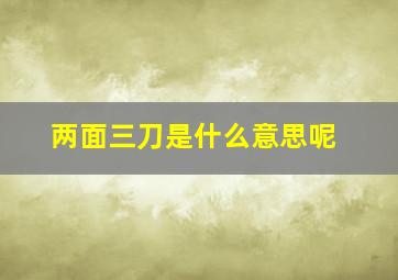 两面三刀是什么意思呢