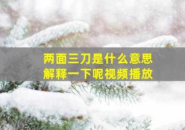 两面三刀是什么意思解释一下呢视频播放