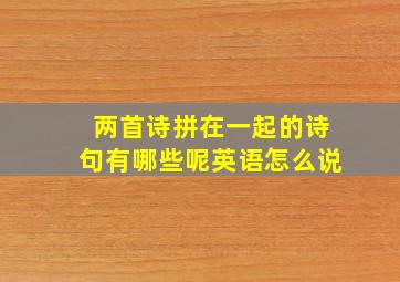 两首诗拼在一起的诗句有哪些呢英语怎么说