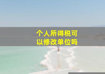 个人所得税可以修改单位吗